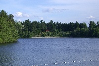 Wellesly College Pond