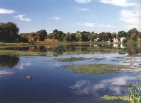 Hardy Pond 