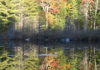Laurel Pond