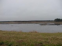 Loon Pond (springfield)