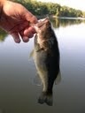 Mill Pond Reservoir Fishing Report