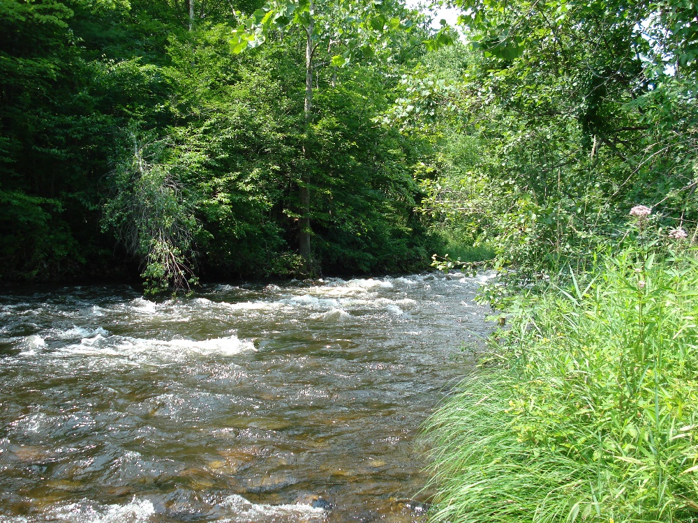West Branch Farmington River near Otis