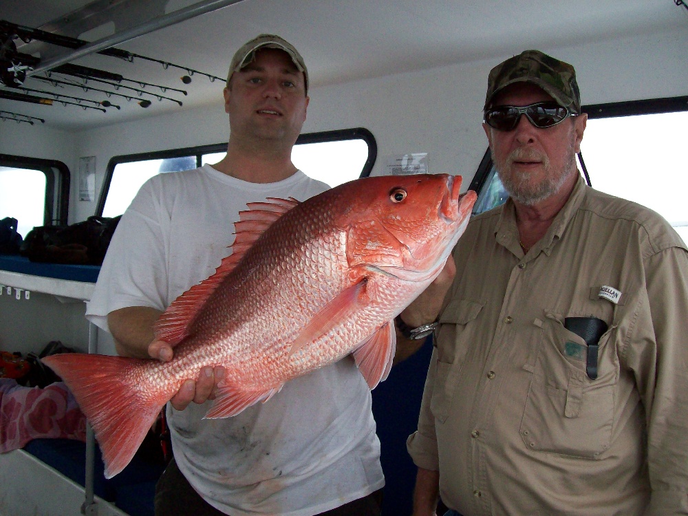 Lane snapper - Wikipedia