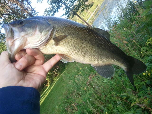 Fishing near Winchester in Middlesex County, Massachusetts - MA