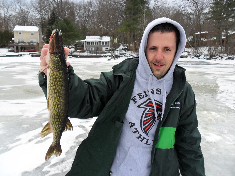 Nice Pickerel