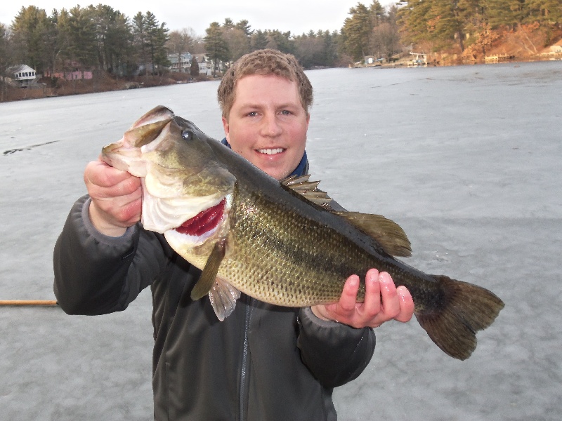 Big Ass Bass near Hudson