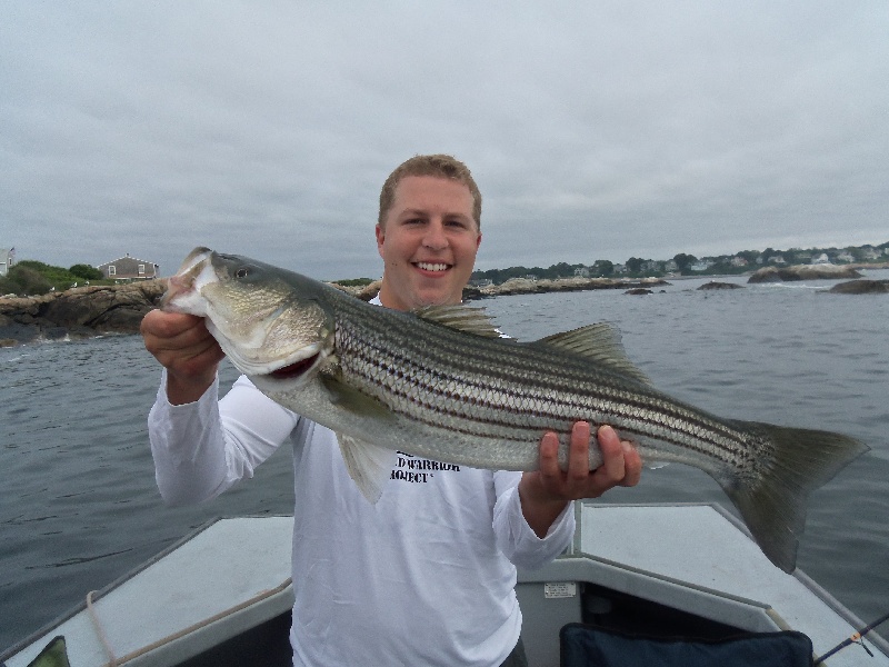 First of the day! near Marblehead