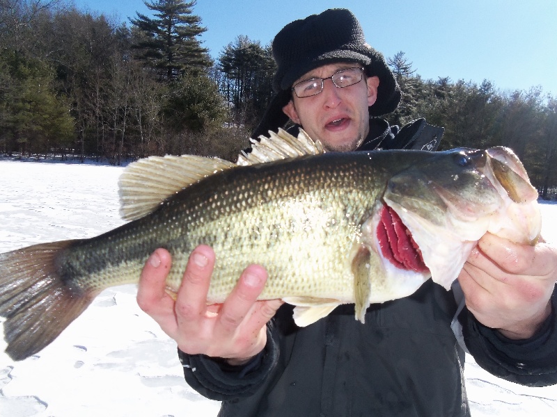 Jon's Hog! near Amherst