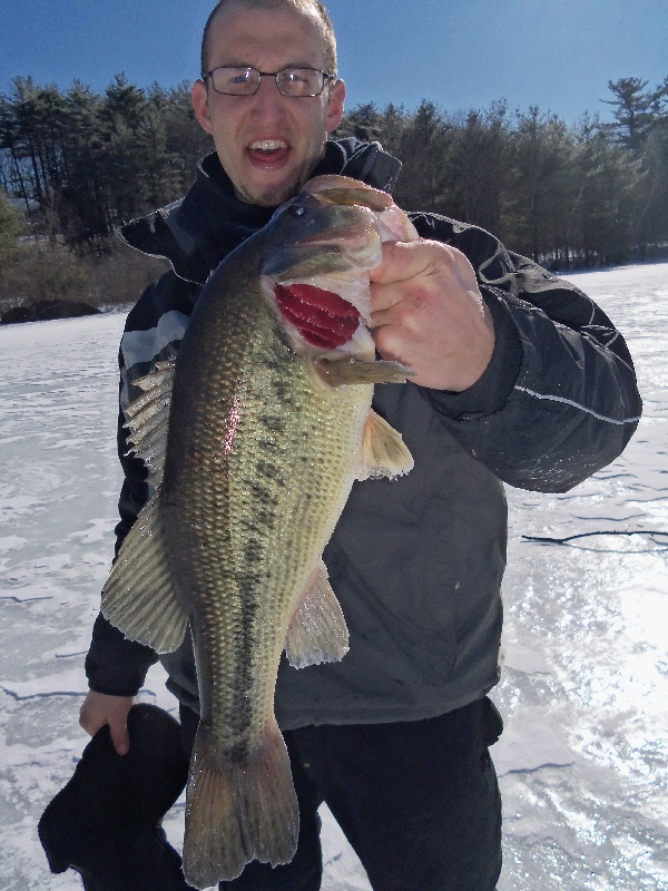 Another Look at Jon's Bass! near Pelham