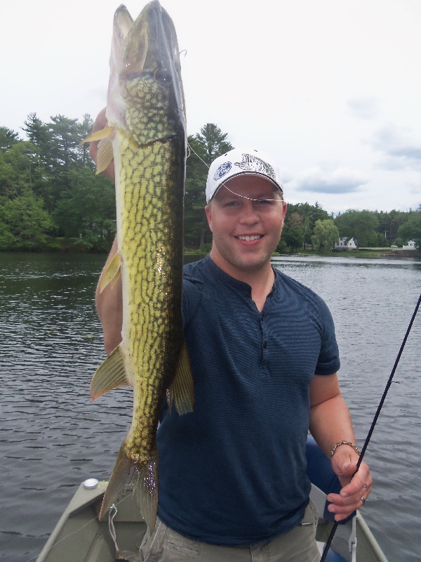 Slime-Dart Slob near East Longmeadow