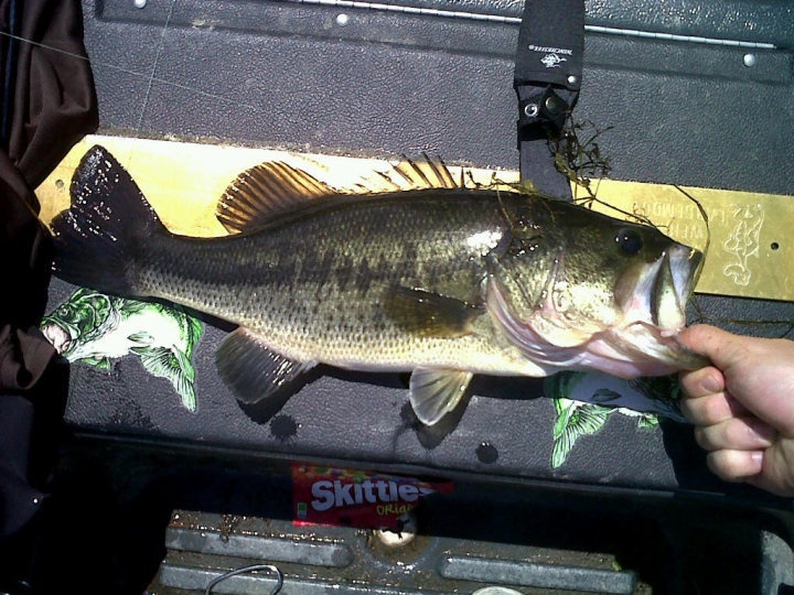 3.5 lber near Belchertown