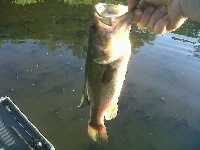 Wampatuck Pond Fishing Report