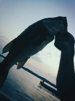 Dusk Canoe Fishing