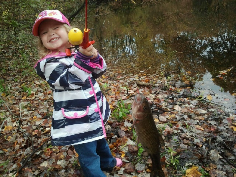 more fallfish near Dracut