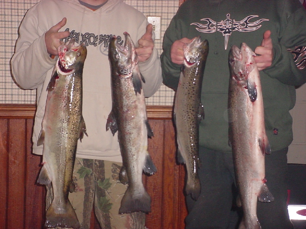 Hubbardston fishing photo 5