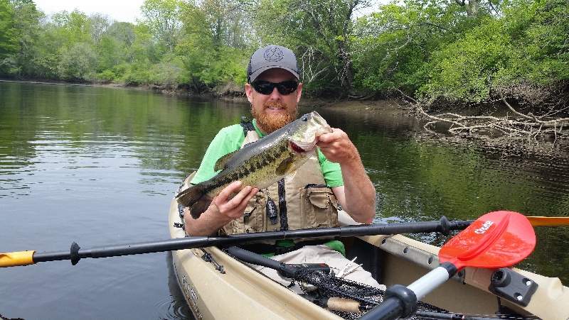 3lb bass out of the taunton river 