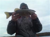 wallum lake smallies Fishing Report