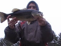 Fishing near Charlton in Worcester County, Massachusetts - MA Fish