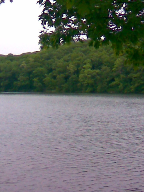 View from the point towards the cove