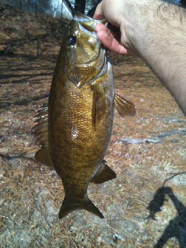 Oak Bluffs fishing photo 4
