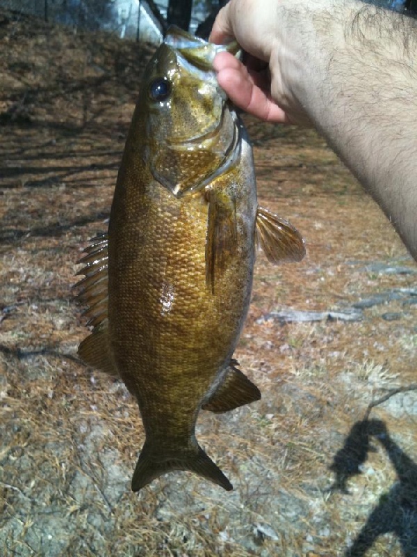 Falmouth fishing photo 2