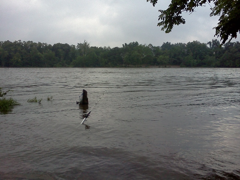 Chicopee fishing photo 5