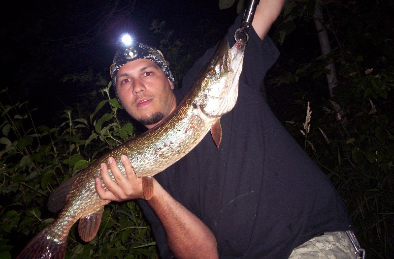 my first pike! near Worcester