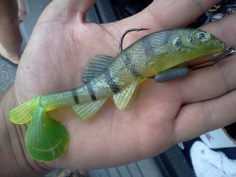 swimbait