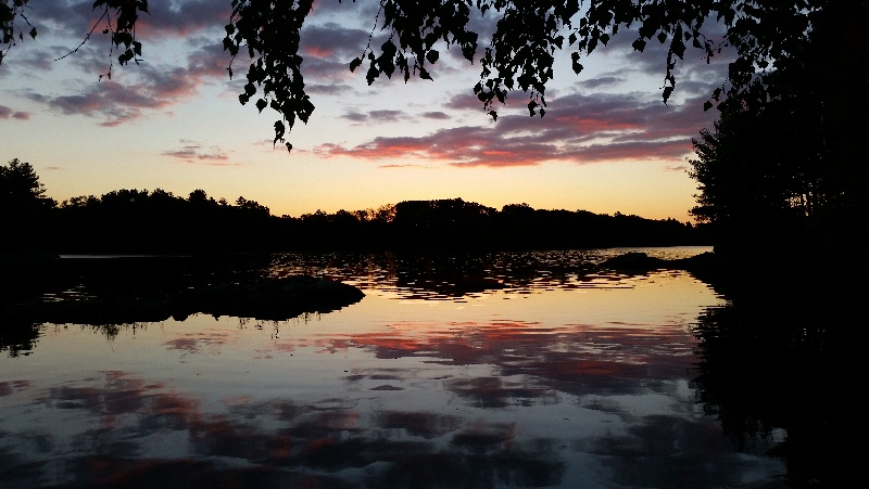 Spot Pond, first light, middle of the summer!