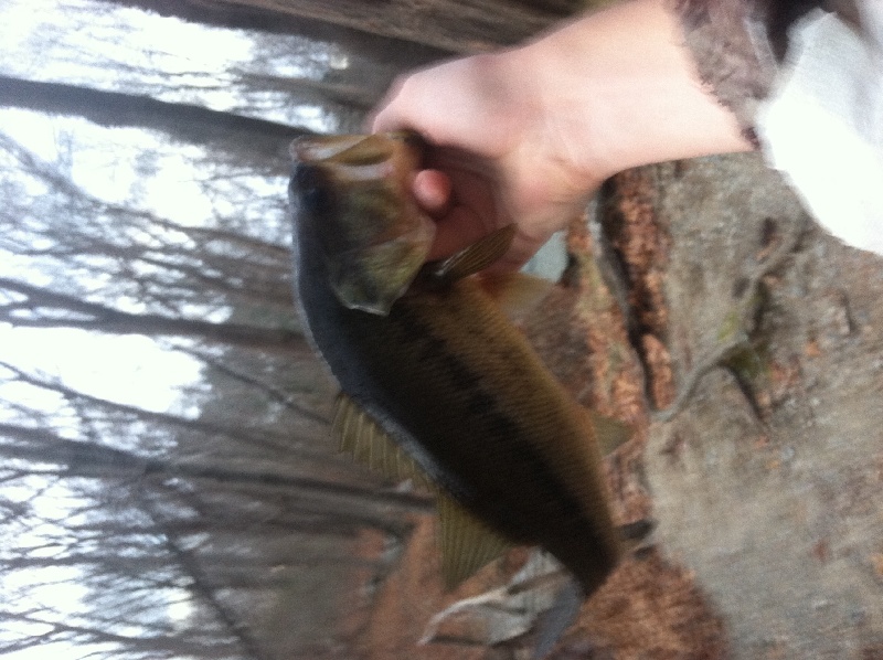 1st open water bass 2013