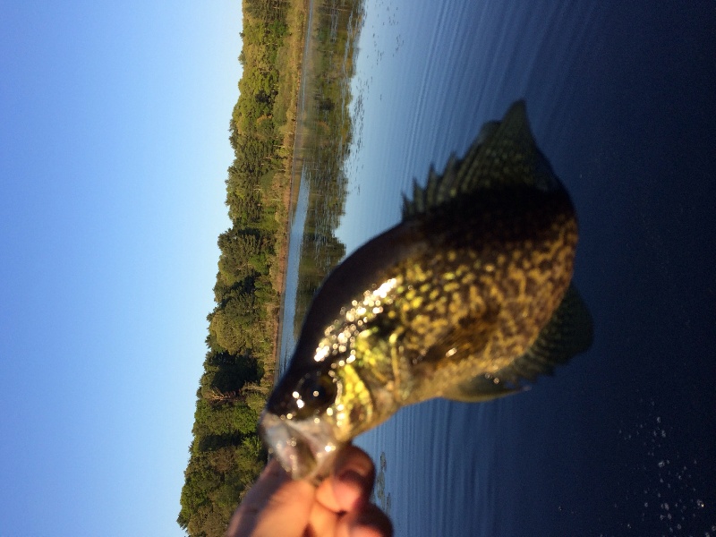 Marshfield fishing photo 2