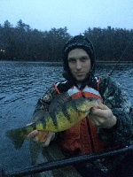 2lbs yellows Fishing Report