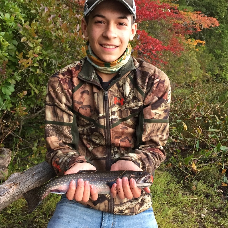 My biggest brookie to date