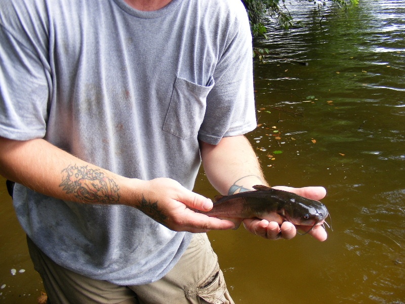 Groveland fishing photo 4