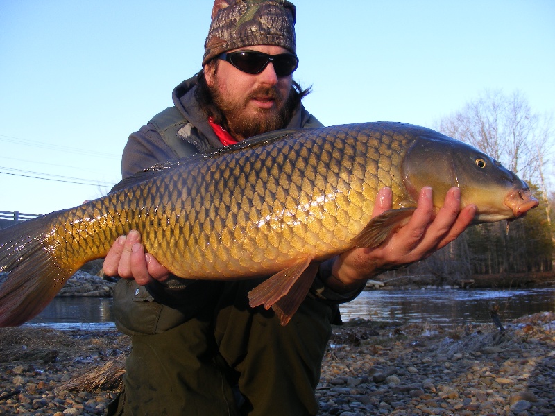 13-4 Mid december common