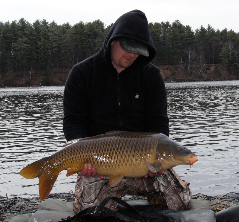 Frank's PB common near West Newbury