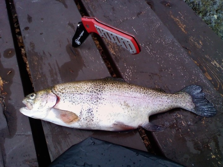 wallum lake