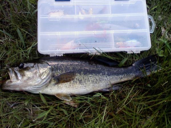 another small large