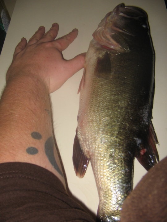 florida large mouth