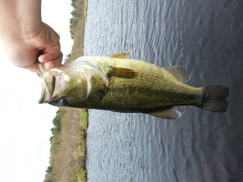 nice bass