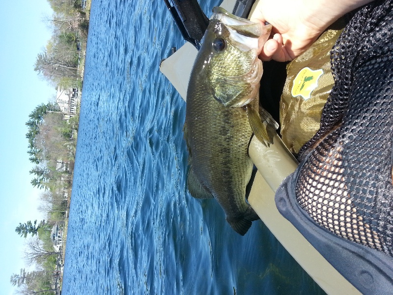 kayak bass