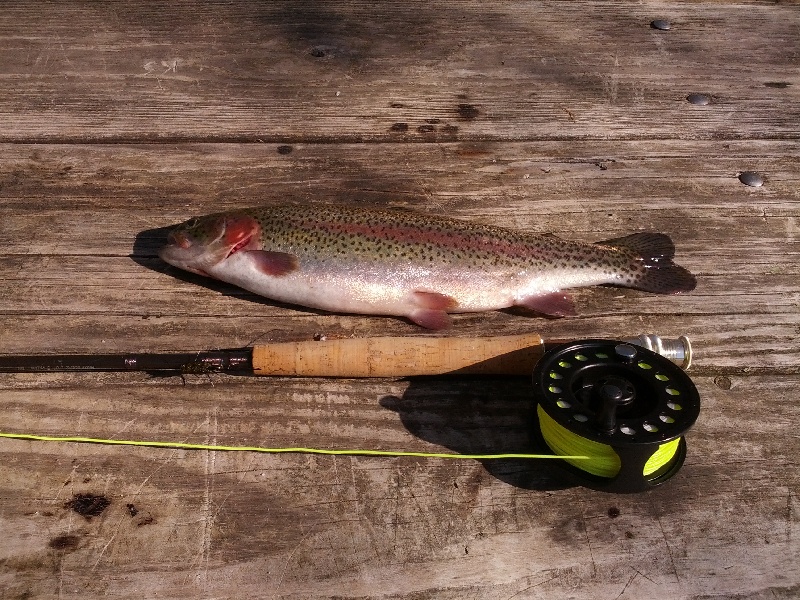 Nahant fishing photo 3