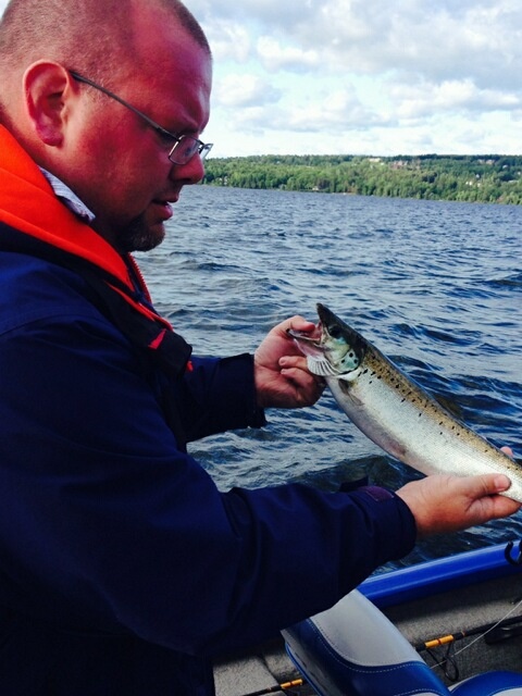 Rangeley Lake Salmon