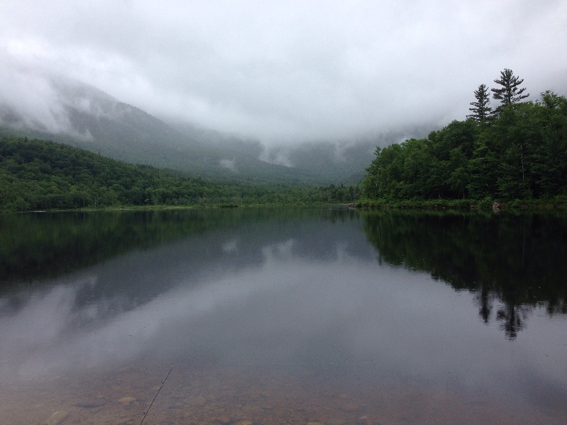 God's Country Brook Trout