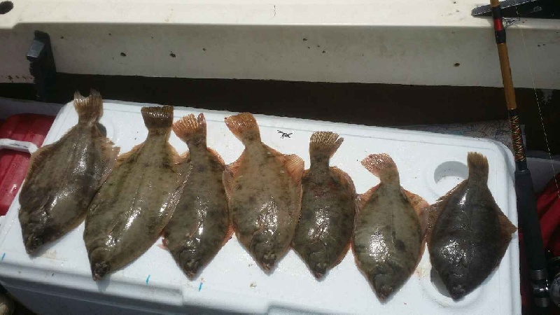 Zobo flounder tournament 3rd place