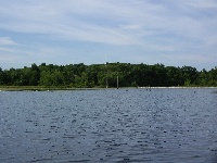 A1/Stump Pond Fishing Report