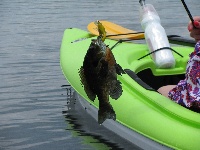East Monponsett Lake Monday -daytime trip  Fishing Report