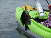 East Monponsett Lake Monday -daytime trip 