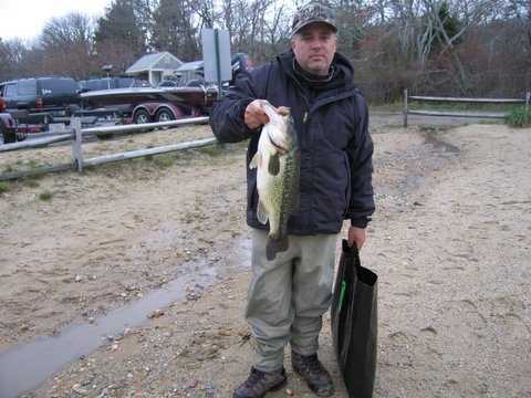 Harwich hog 5.73