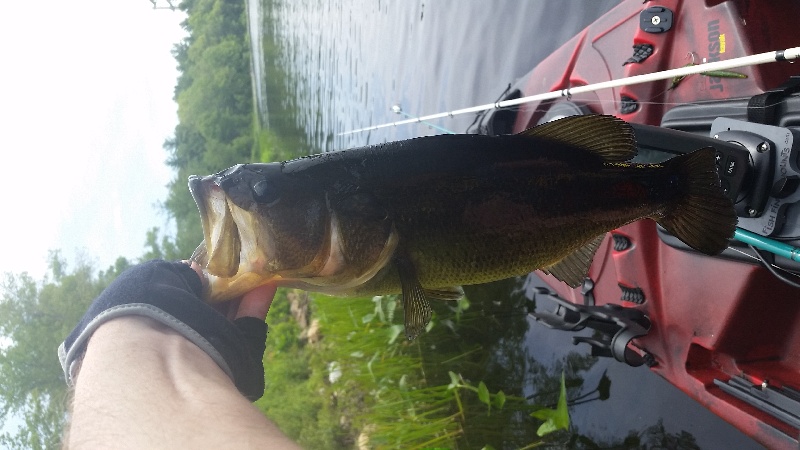 stump pond east bridgewater